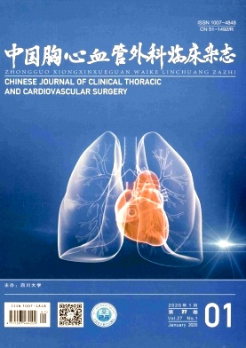 中国胸心血管外科临床