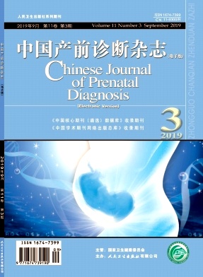 中国产前诊断（电子版）